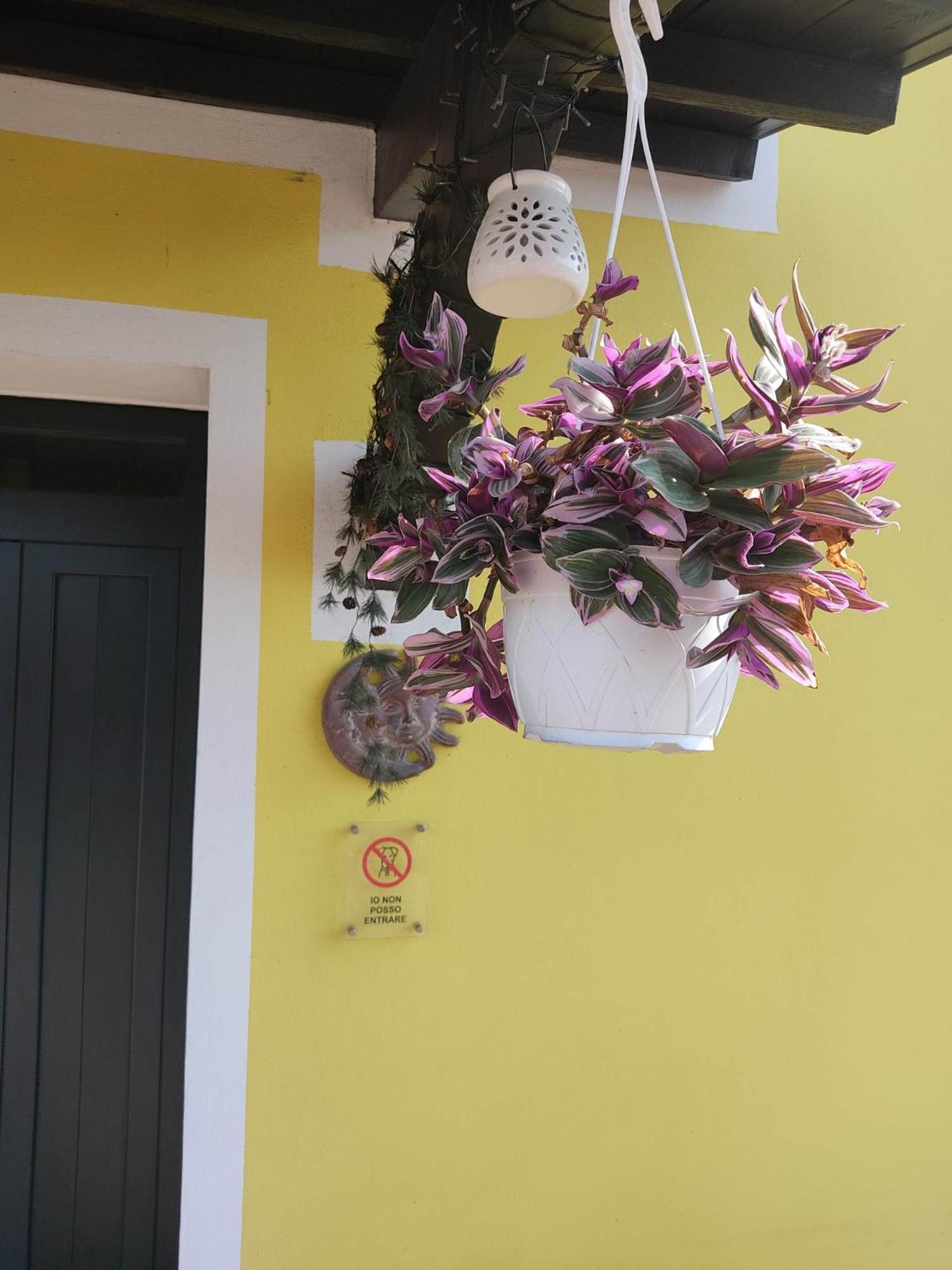 Guest house Night & Day Di Laura Patuelli